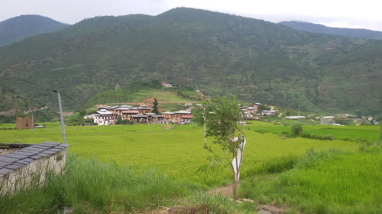 Chimi Lhakhang Village Homestay Πουνάχα Εξωτερικό φωτογραφία